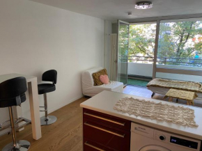 Nettes zentrales 1 Zimmer-Appartement